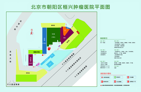 操我小视频北京市朝阳区桓兴肿瘤医院平面图